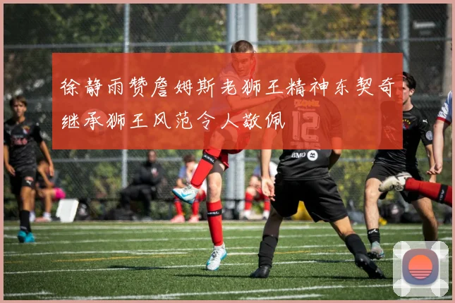 徐静雨赞詹姆斯老狮王精神东契奇继承狮王风范令人敬佩